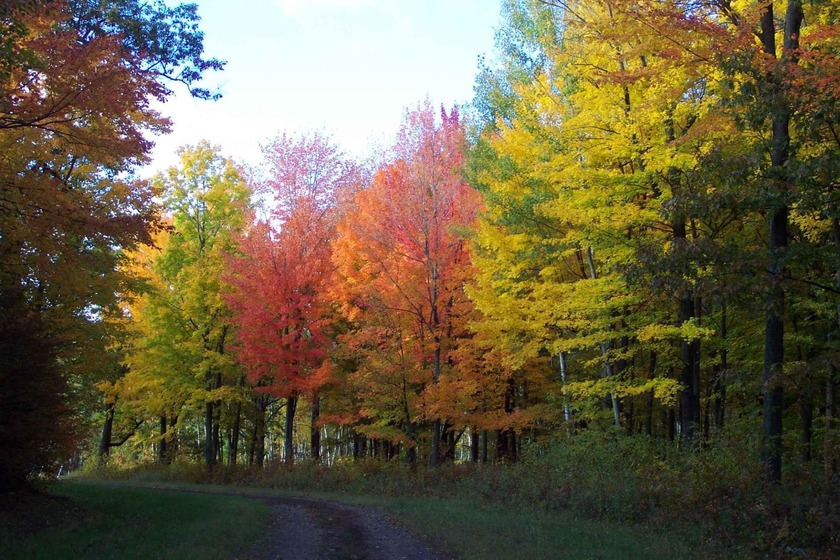 Welcome to Eagle Deer Reserve! A shared lake access community - photo 15