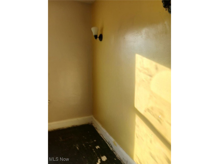 Charming Colonial with Great Potential in Cleveland! Welcome to - photo 14