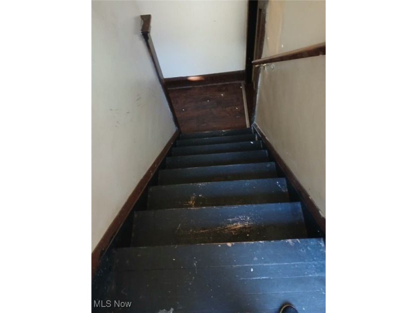 Charming Colonial with Great Potential in Cleveland! Welcome to - photo 19
