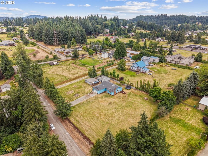 Amazing one level property in a desirable Damascus neighborhood! - photo 48