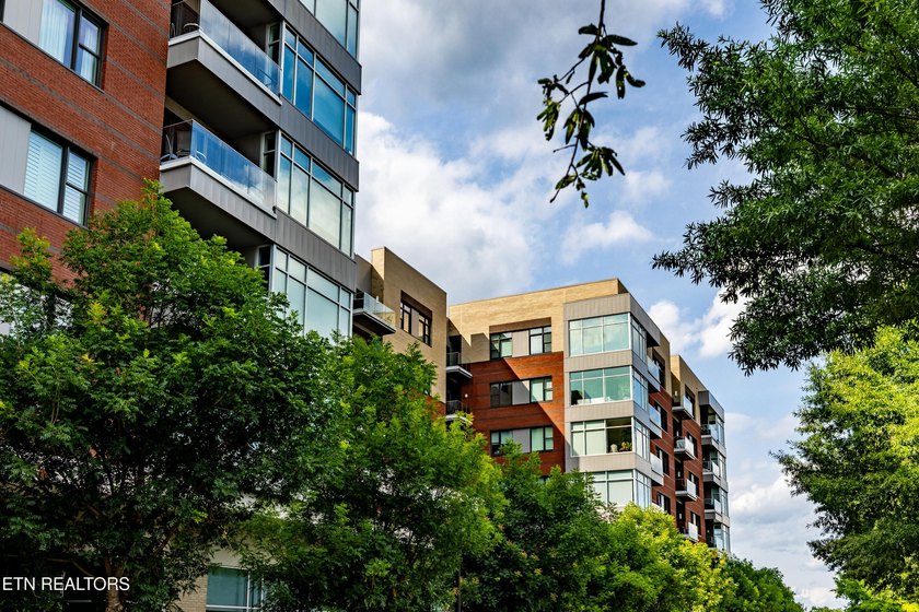 Live in the heart of downtown Knoxville at Regas Square! This - photo 37