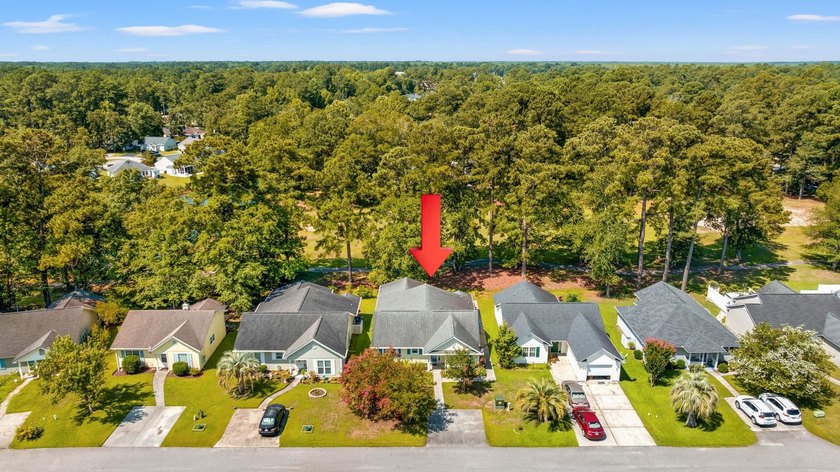 This priced-to-sell, move-in-ready 3-bedroom, 2-bath home offers - photo 50