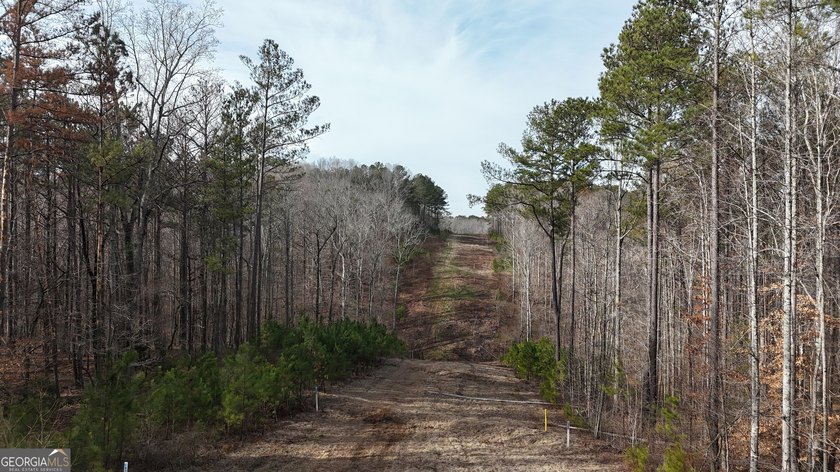 First time on the market in the past 60 years. The 2,700' (L) X - photo 11