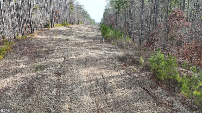First time on the market in the past 60 years. The 2,700' (L) X - photo 18