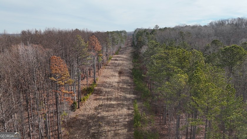 First time on the market in the past 60 years. The 2,700' (L) X - photo 20