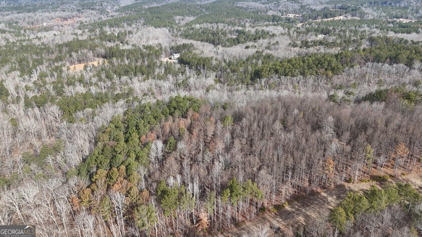 First time on the market in the past 60 years. The 2,700' (L) X - photo 25