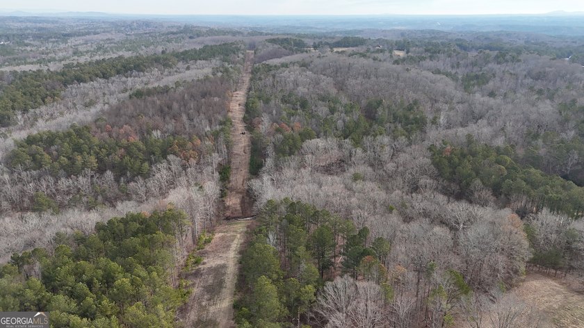 First time on the market in the past 60 years. The 2,700' (L) X - photo 37