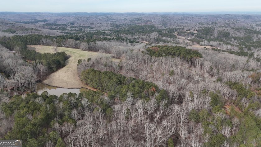 First time on the market in the past 60 years. The 2,700' (L) X - photo 38