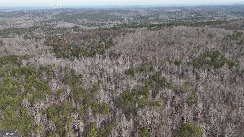 First time on the market in the past 60 years. The 2,700' (L) X - photo 40