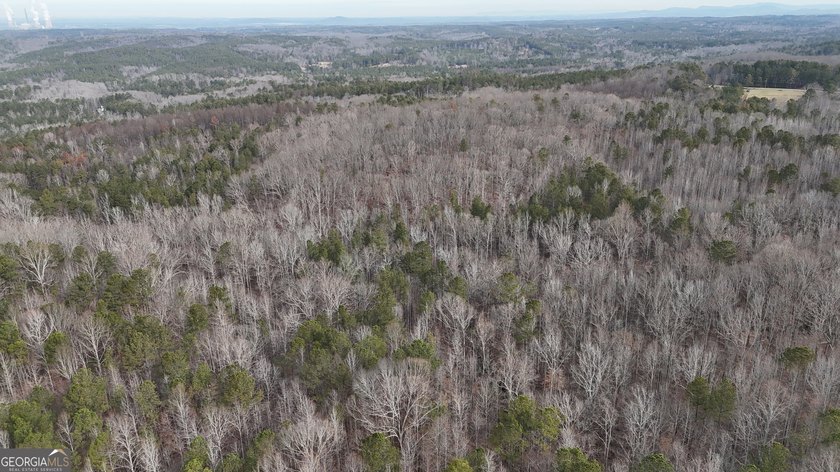 First time on the market in the past 60 years. The 2,700' (L) X - photo 41