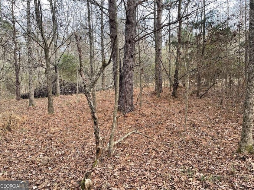 Exceptional opportunity on 29+ acres in a highly strategic - photo 2