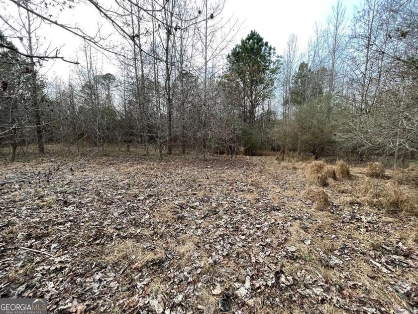 Exceptional opportunity on 29+ acres in a highly strategic - photo 3