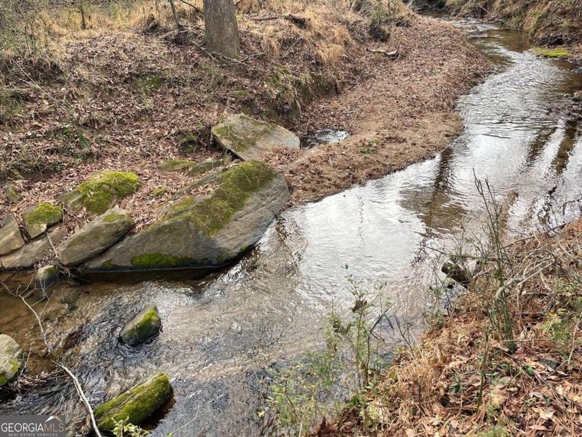 Exceptional opportunity on 29+ acres in a highly strategic - photo 4