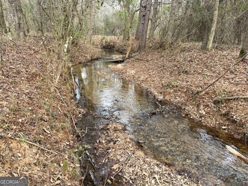 Exceptional opportunity on 29+ acres in a highly strategic - photo 5