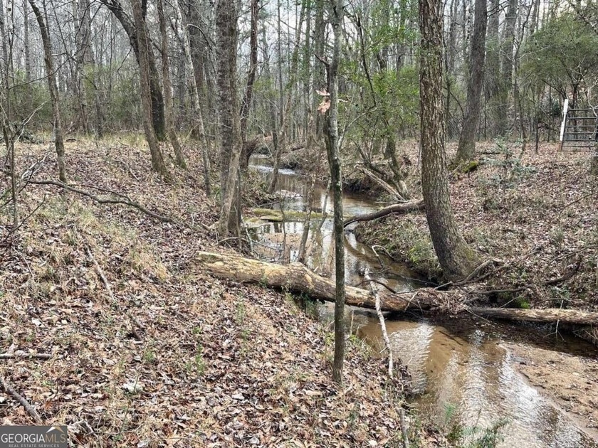 Exceptional opportunity on 29+ acres in a highly strategic - photo 6
