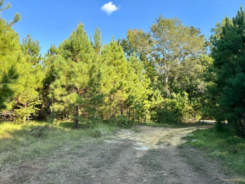 Located just a few miles east of Furman at the intersection of - photo 11