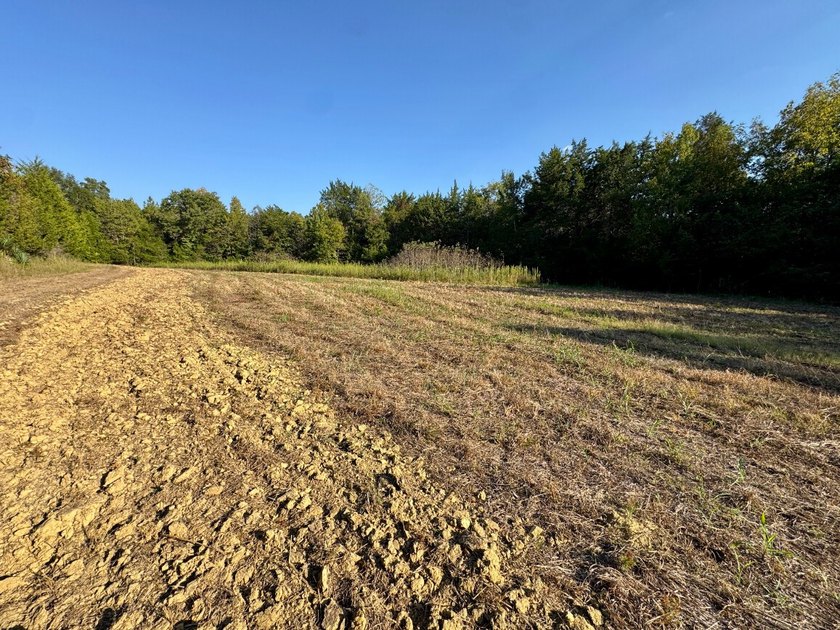 Located just a few miles east of Furman at the intersection of - photo 13
