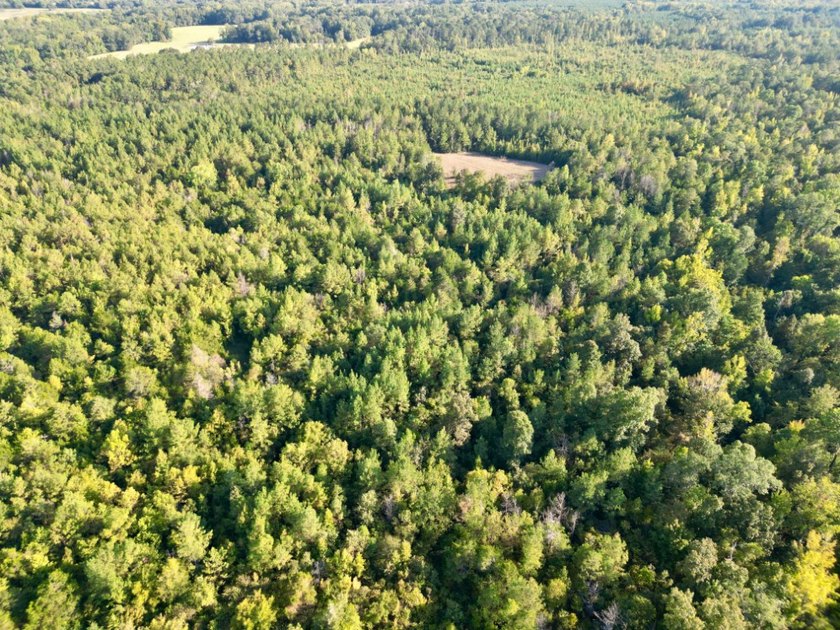 Located just a few miles east of Furman at the intersection of - photo 14