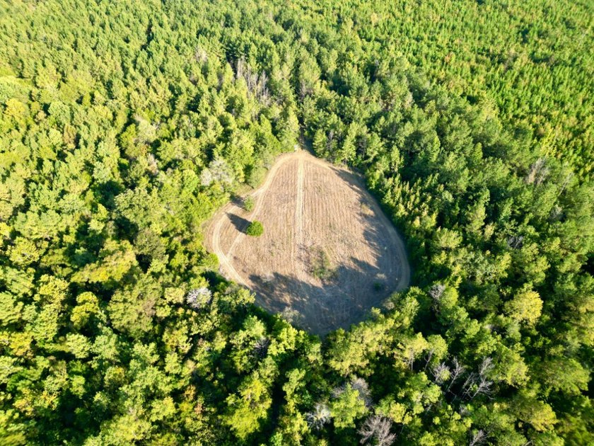 Located just a few miles east of Furman at the intersection of - photo 17
