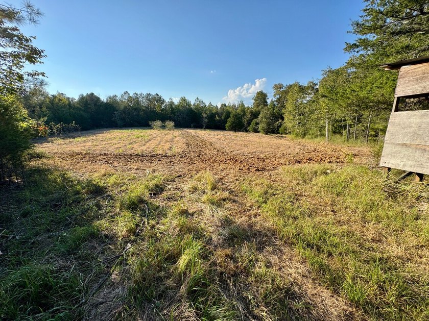 Located just a few miles east of Furman at the intersection of - photo 20