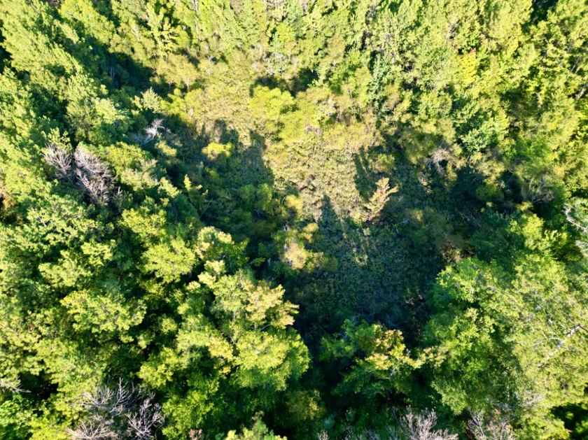 Located just a few miles east of Furman at the intersection of - photo 21