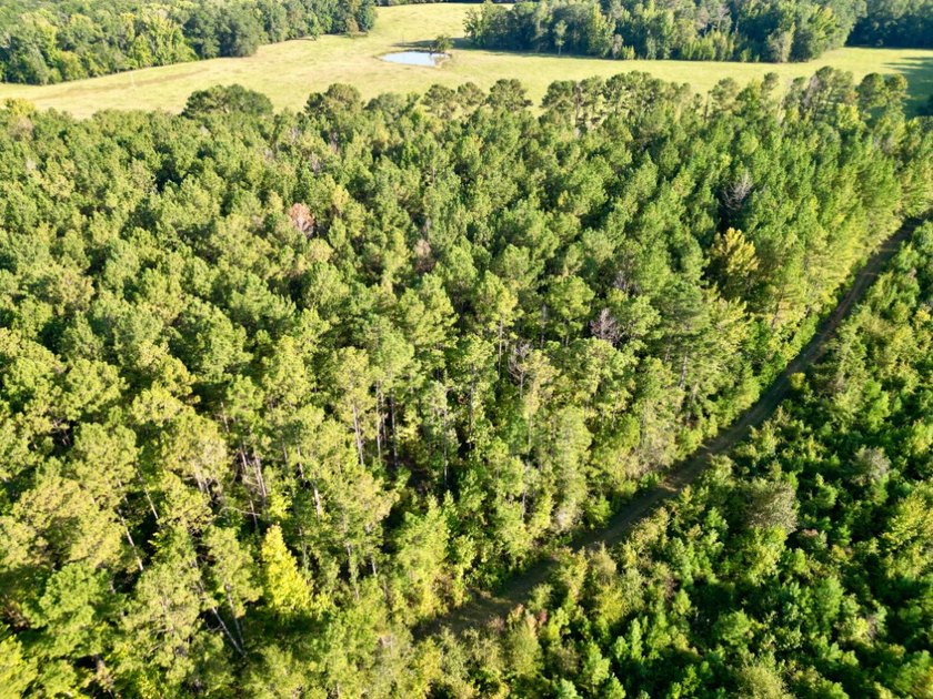 Located just a few miles east of Furman at the intersection of - photo 23