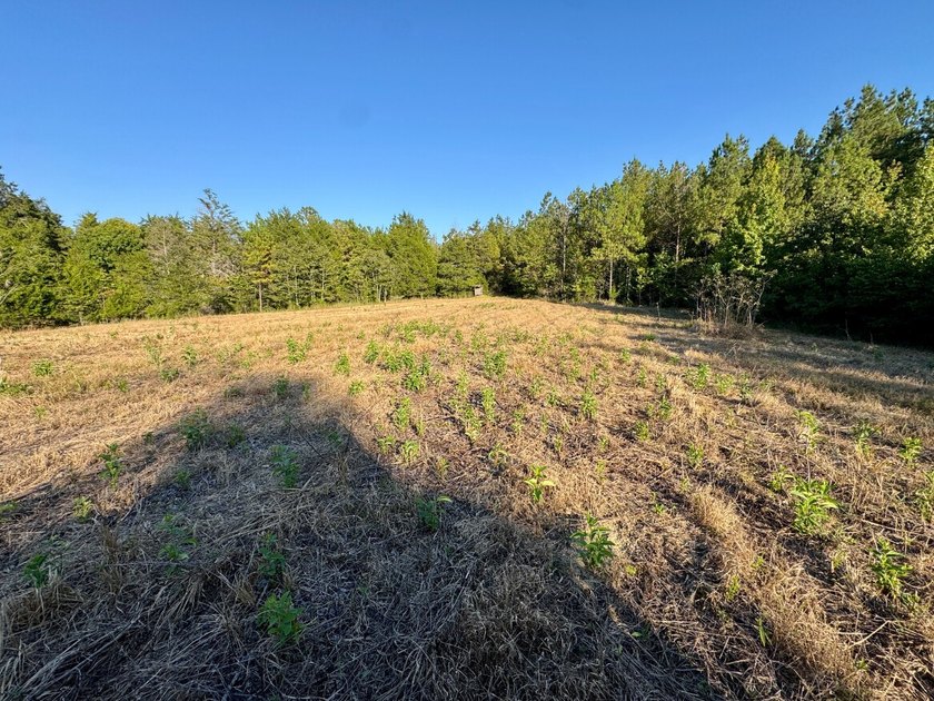 Located just a few miles east of Furman at the intersection of - photo 26