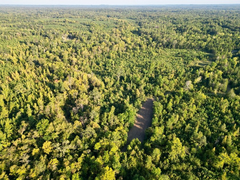 Located just a few miles east of Furman at the intersection of - photo 27