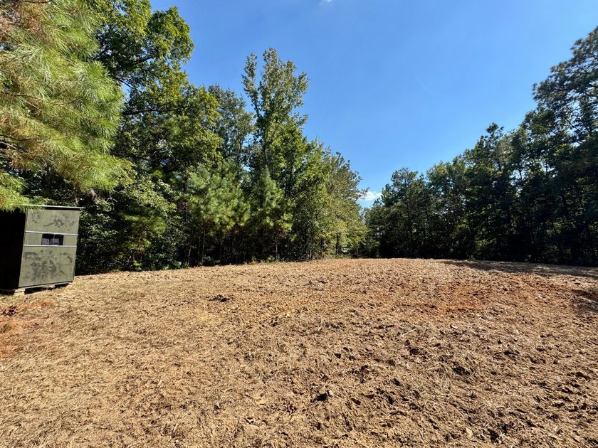 Located just a few miles east of Furman at the intersection of - photo 30
