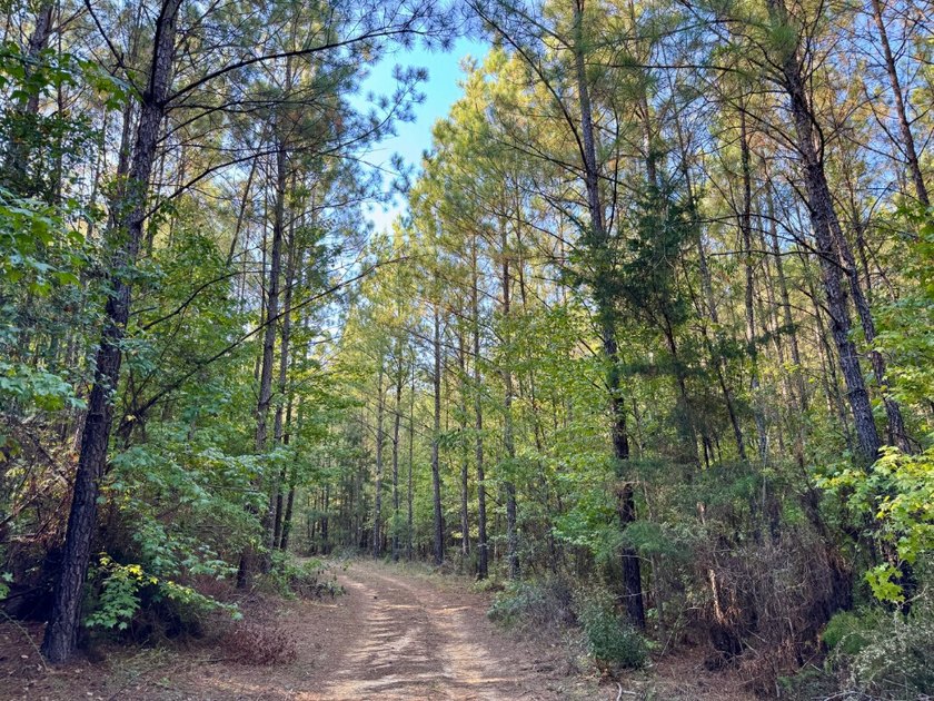 Located just a few miles east of Furman at the intersection of - photo 32