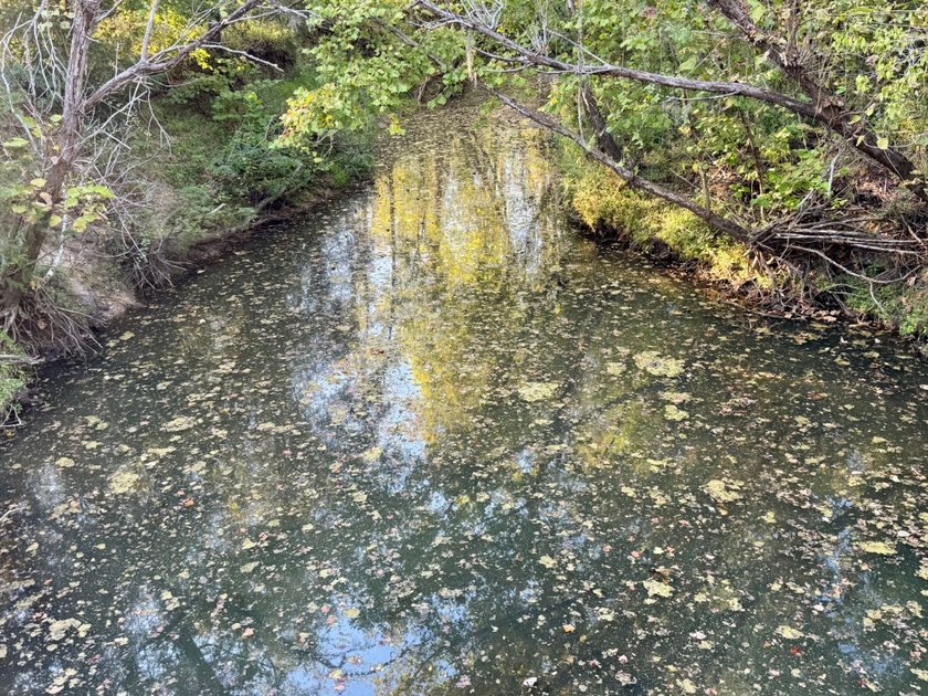Located just a few miles east of Furman at the intersection of - photo 33