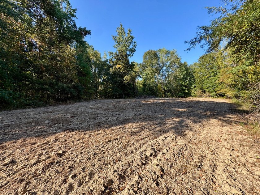 Located just a few miles east of Furman at the intersection of - photo 35