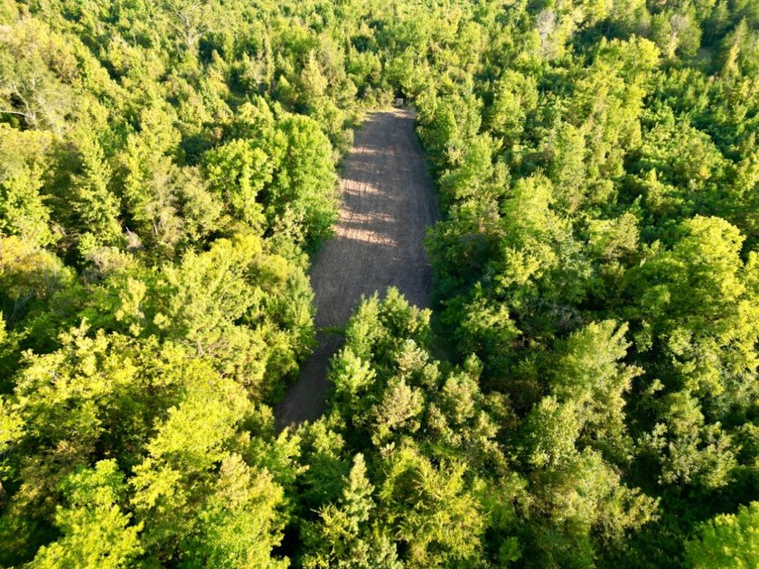 Located just a few miles east of Furman at the intersection of - photo 36