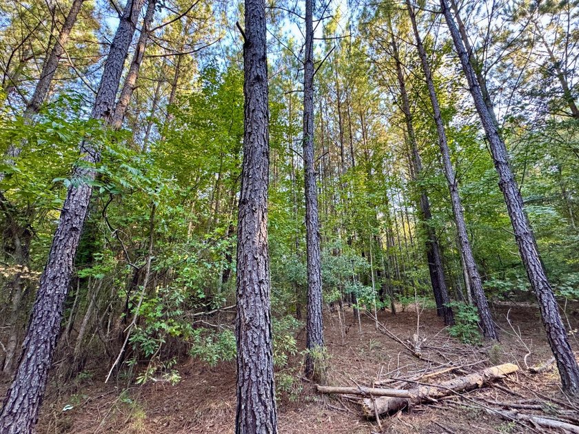 Located just a few miles east of Furman at the intersection of - photo 40