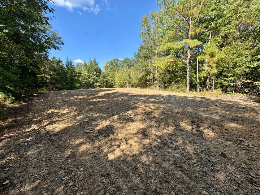 Located just a few miles east of Furman at the intersection of - photo 42