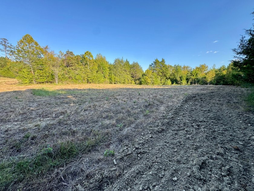 Located just a few miles east of Furman at the intersection of - photo 44