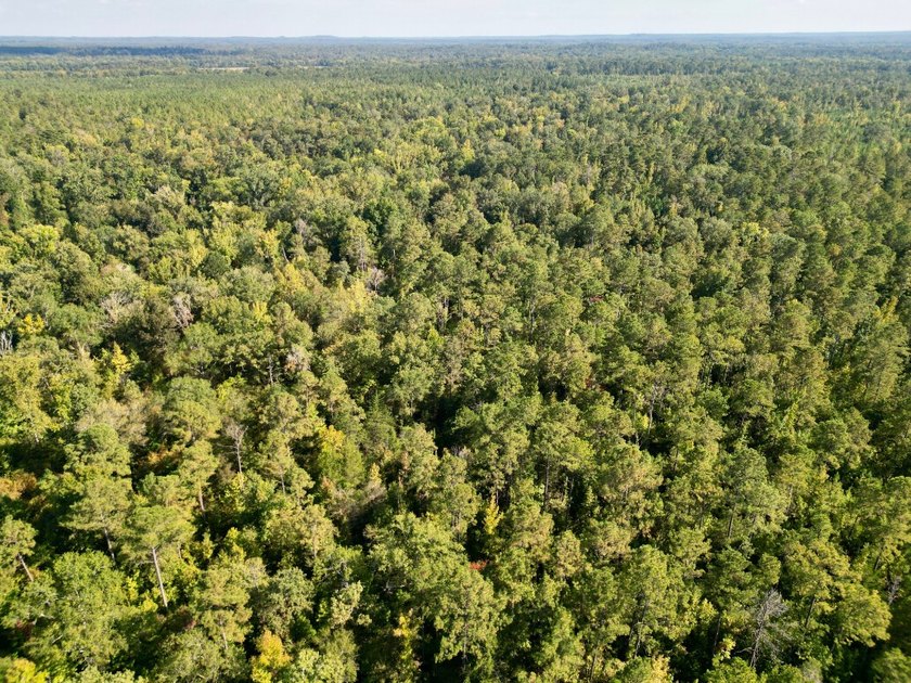 Located just a few miles east of Furman at the intersection of - photo 47