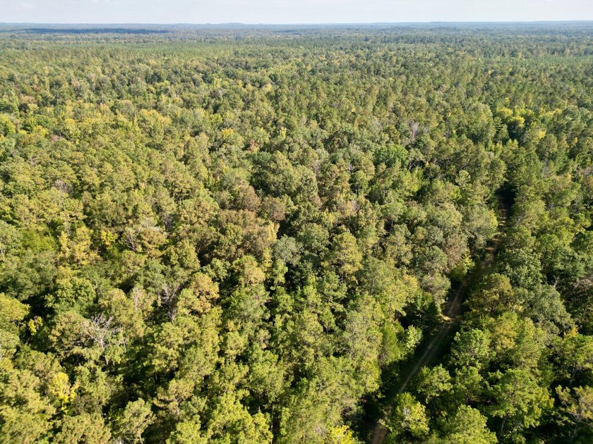 Located just a few miles east of Furman at the intersection of - photo 49