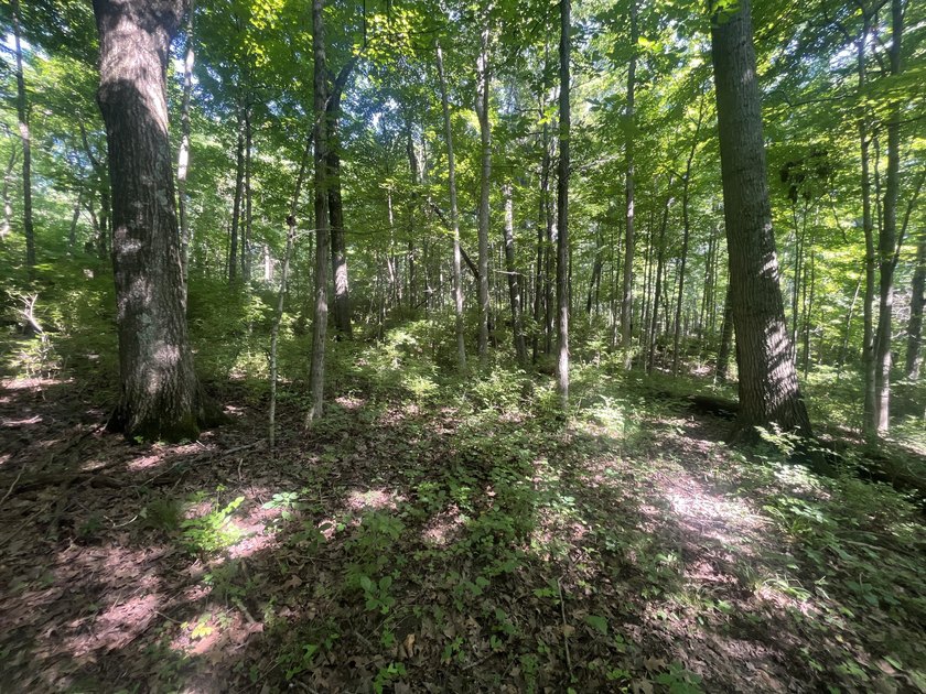 Discover the perfect blend of investment potential, recreation - photo 21