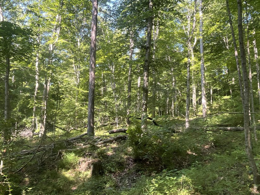 Discover the perfect blend of investment potential, recreation - photo 25