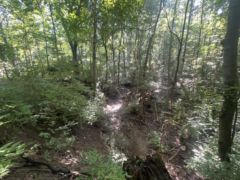 Discover the perfect blend of investment potential, recreation - photo 32