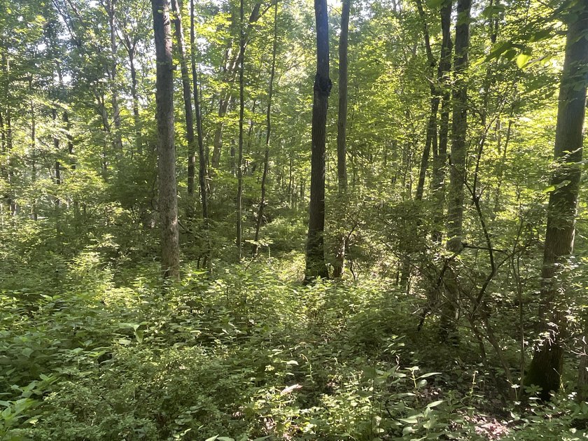 Discover the perfect blend of investment potential, recreation - photo 34