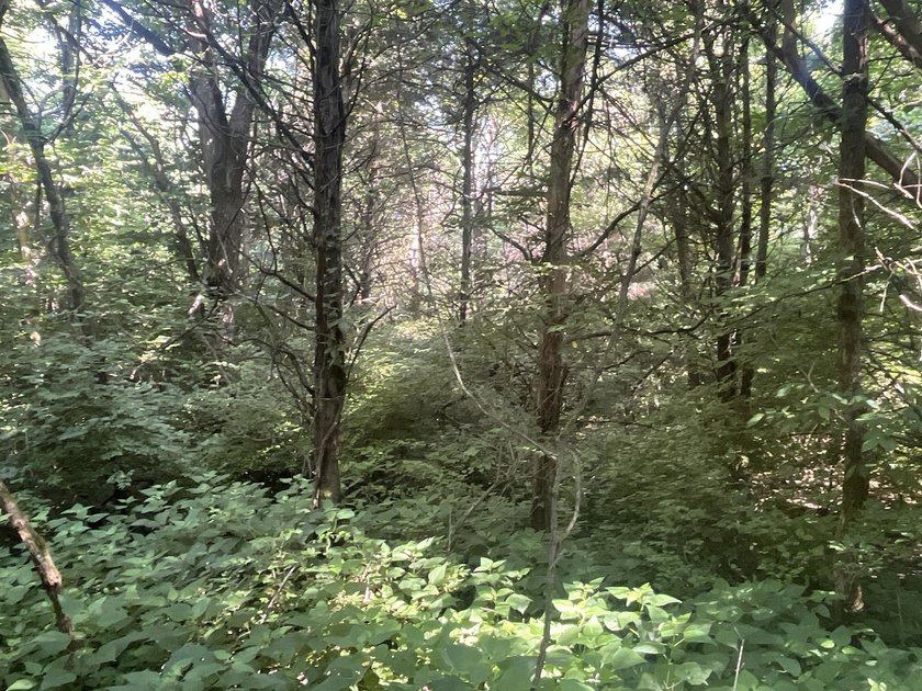 Discover the perfect blend of investment potential, recreation - photo 37