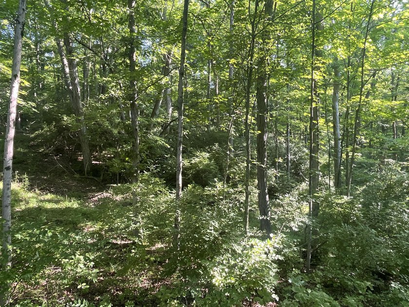 Discover the perfect blend of investment potential, recreation - photo 50