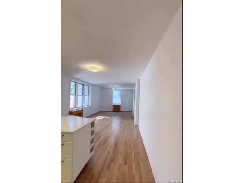 VACANT-NEW RENOVATION-THE VIKING COOPS-Prime Sheepshead Bay - photo 2