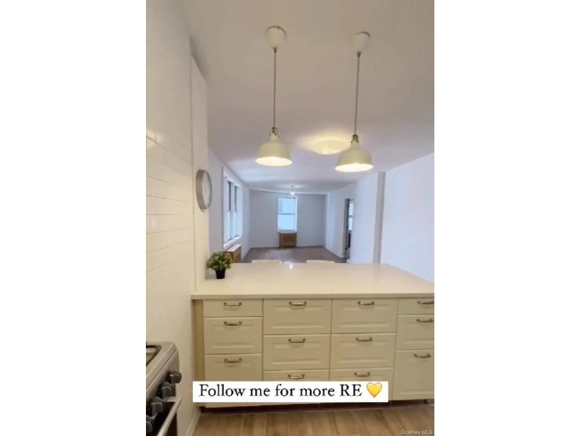 VACANT-NEW RENOVATION-THE VIKING COOPS-Prime Sheepshead Bay - photo 8