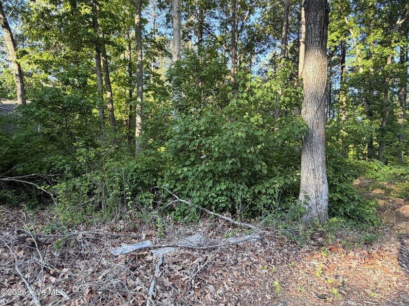 Located within a private, established community, the lot - photo 2