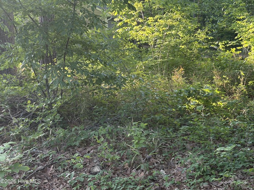Located within a private, established community, the lot - photo 3