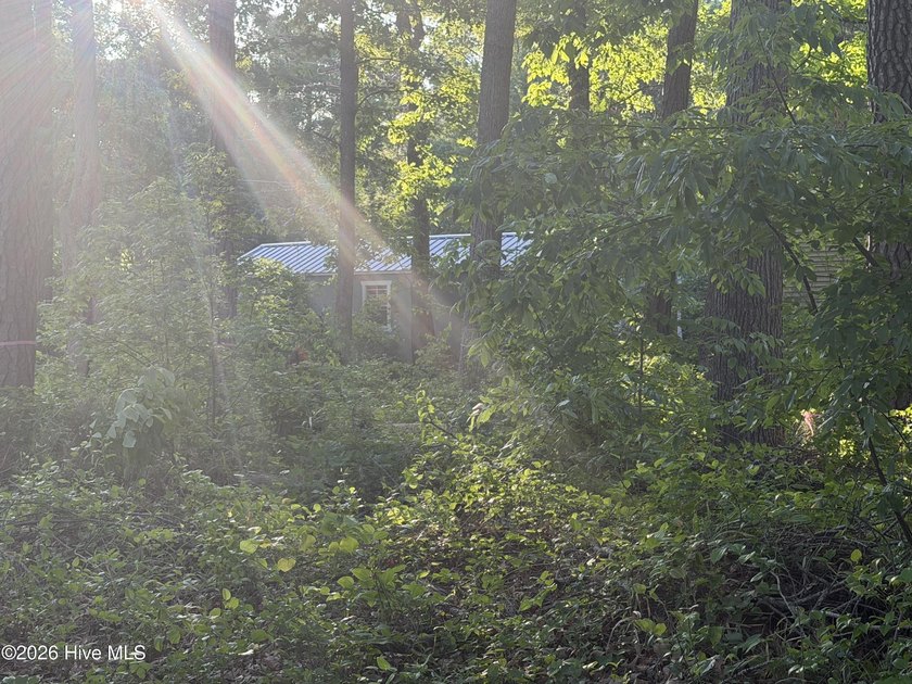 Located within a private, established community, the lot - photo 4