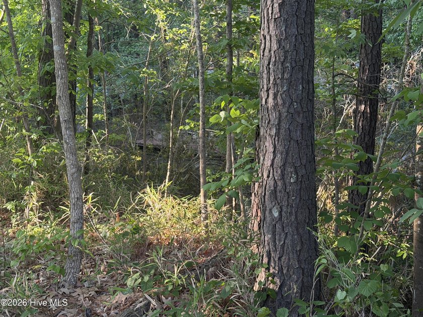 Located within a private, established community, the lot - photo 6